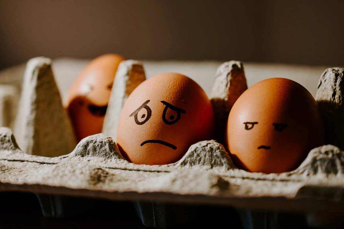 Do You Worry? Try This! - two worried lookng hen eggs